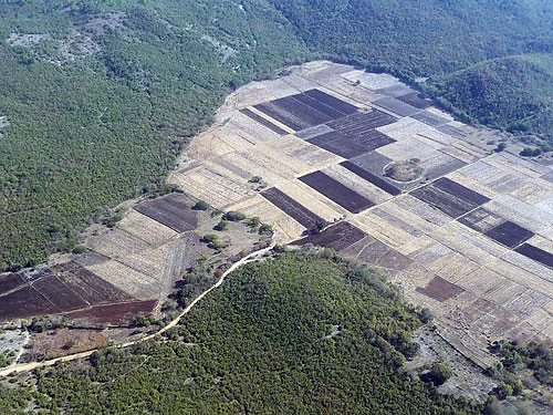 Deforestation in the jungle of Chiapas © SIPAZ