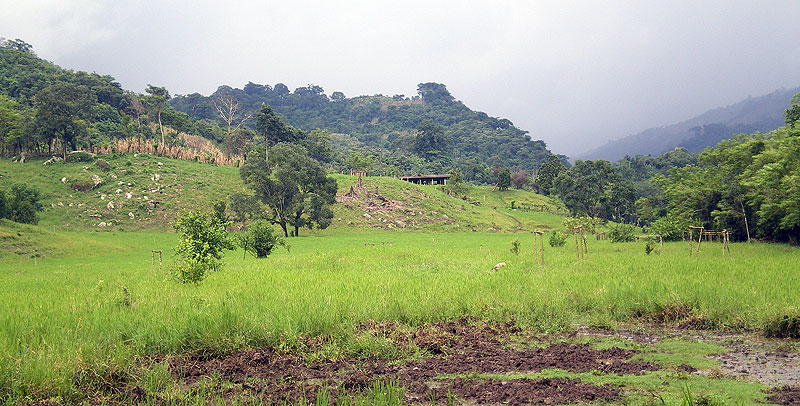 San Patricio, Sabanilla, nördliche Zone © SIPAZ