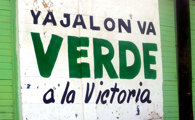 Schon Monate vor den Wahlen begann die PVEM, die Mauern grün anzustreichen © SIPAZ