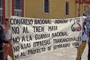 Non au projet Sembrando Vida, l'une des revendications du Congrès National Indigène (CNI) à San Cristóbal de Las Casas en juin 2019 © SIPAZ