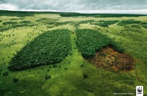 © WWF