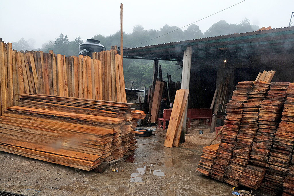 Déforestation, expropriations… En Corrèze, bataille autour de l'extension  d'une scierie