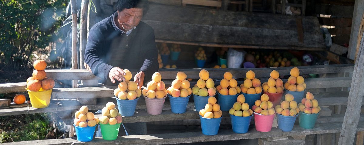 Trabajar día a día para sobrevivir © SIPAZ