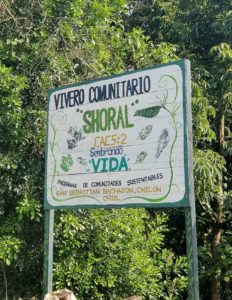 Sembrando Vida community nursery in Chilón, Chiapas © SIPAZ