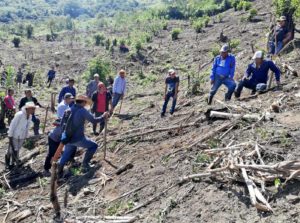 Mitigated perspectives on the Sembrando Vida project © SemVidaMx