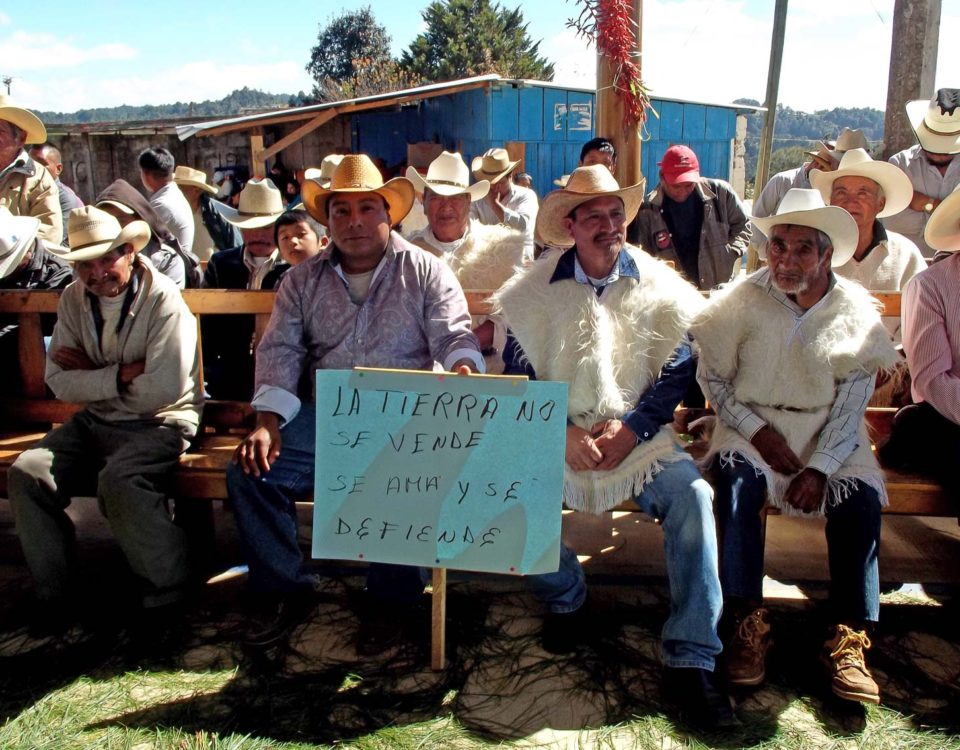 “The Earth is not for sale, it is loved and defended”, MODEVITE © SIPAZ, Archive