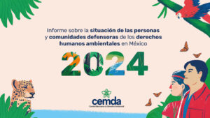 © CEMDA