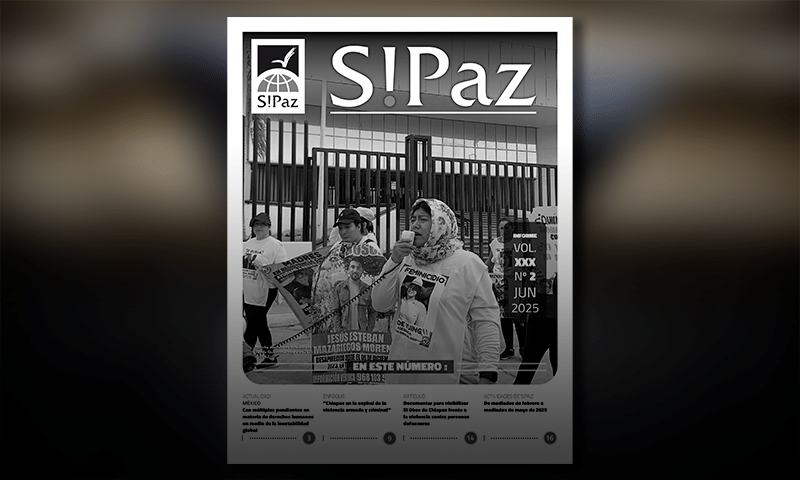 Informe_espanol022025
