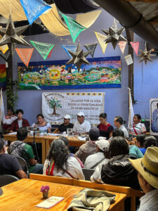 Conferencia de prensa del MODEVITE y gobierno comunitario de Chilón, San Cristóbal de las Casas, abril de 2025 © SIPAZ