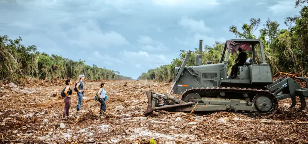 Construcción del Tren Maya © Tribunal Internacional por los Derechos de la Naturaleza