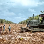Construcción del Tren Maya © Tribunal Internacional por los Derechos de la Naturaleza