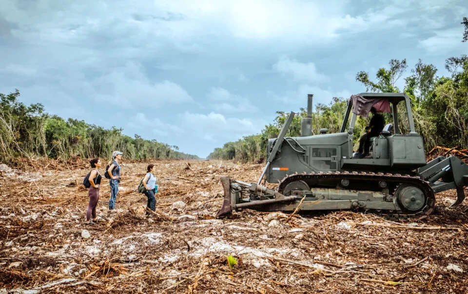 Construcción del Tren Maya © Tribunal Internacional por los Derechos de la Naturaleza