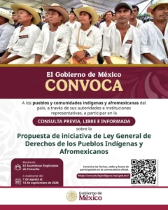 Consulta © Gobierno de México